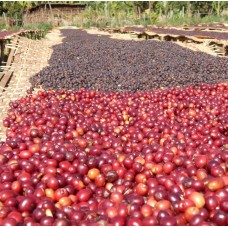 Ethiopia Natural Sidamo