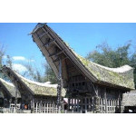 Sulawesi Toraja
