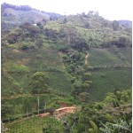 Colombia Huila Santa Maria