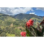 61019 Colombia Huila Santa Maria