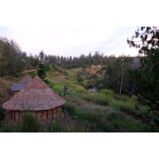 Papua New Guinea*