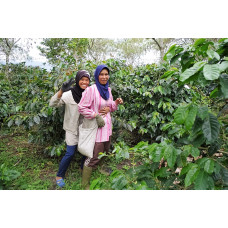 Sumatra Mandheling